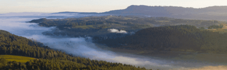 Case Study: UrbanForm Yamhill